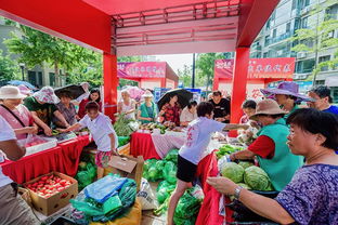 精準(zhǔn)扶貧背景下豆制品銷售的發(fā)展研究