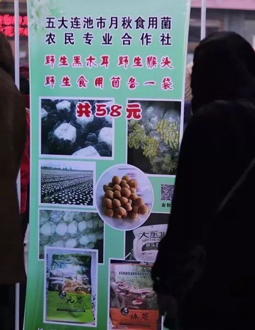 五大連池市首屆年貨大集盛大開幕，豆制品銷售火爆