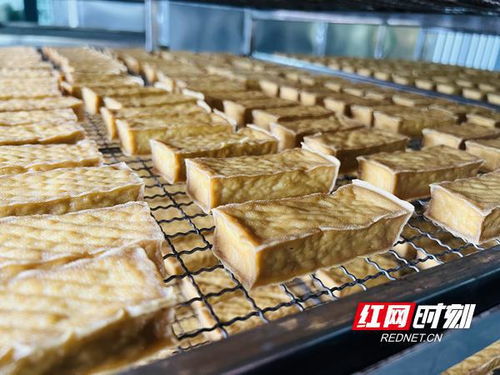 辦一次會，興一座城 武岡豆制品銷售借勢騰飛
